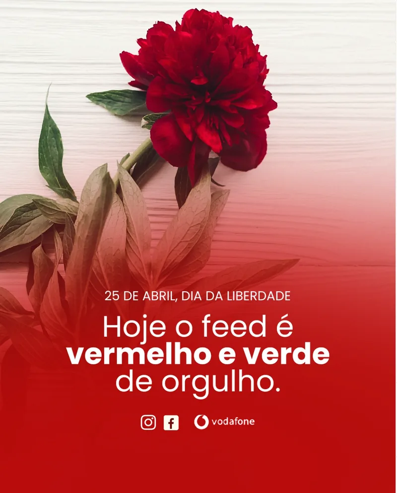 Vermelho e verde de orgulho.